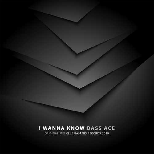 Скачать песню Bass Ace - I Wanna Know (Original Mix)