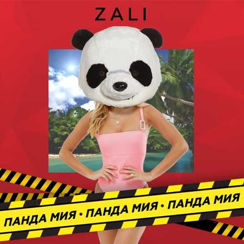 Скачать песню MC Zali - Панда Мия