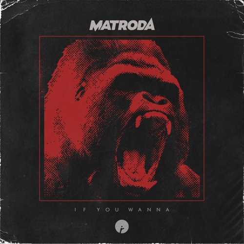 Скачать песню Matroda - If You Wanna (Original Mix)