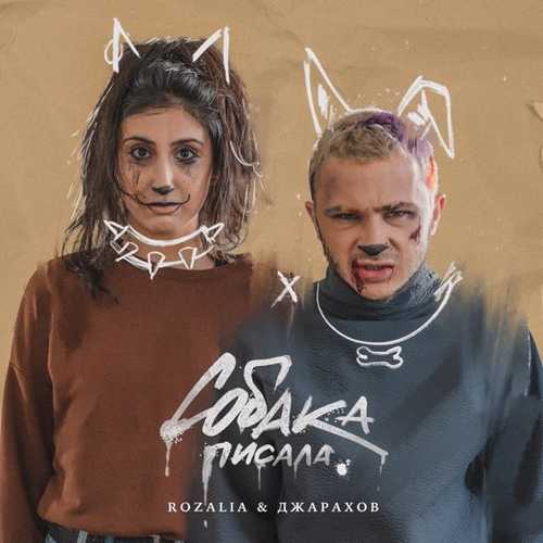 Скачать песню Rozalia - Собака Писала (feat. Джарахов)
