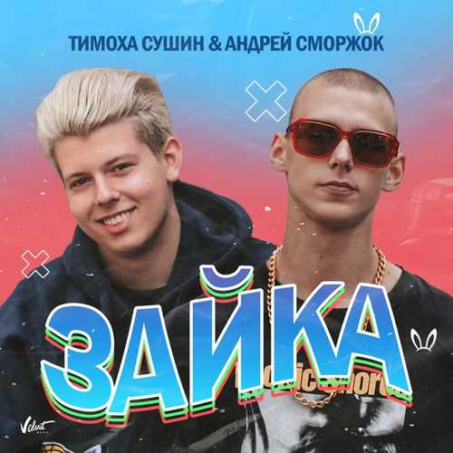 Скачать песню Тимоха Сушин - Зайка (feat. Андрей Сморжок)
