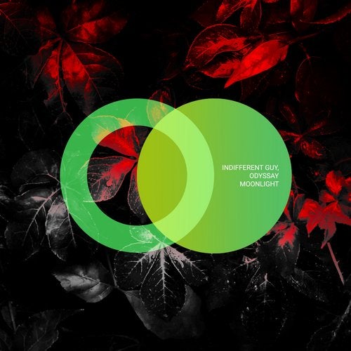 Скачать песню Indifferent Guy & Odyssay - Moonlight (Original Mix)