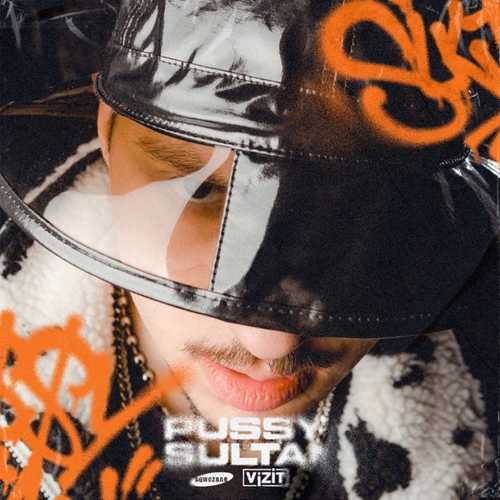 Скачать песню Sqwoz Bab - Pussy Sultan (feat. Vizit)
