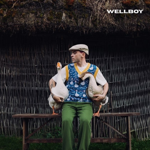 Скачать песню Wellboy - Гуси (Bozz Nakoz Remix)