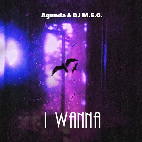 Скачать песню Agunda - I Wanna (feat. DJ M.E.G.)