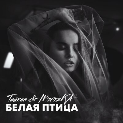 Скачать песню Тайпан - Белая Птица (faet. MorozKA)
