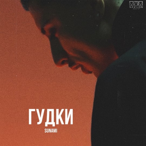 Скачать песню Sunami - Гудки