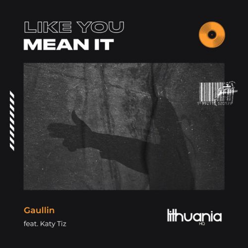 Скачать песню Gaullin - Like You Mean It (feat. Katy Tiz)