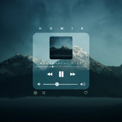 Скачать песню Homie - Wonderful Life