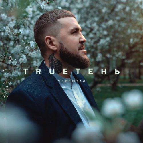 Скачать песню Trueтень - Черёмуха