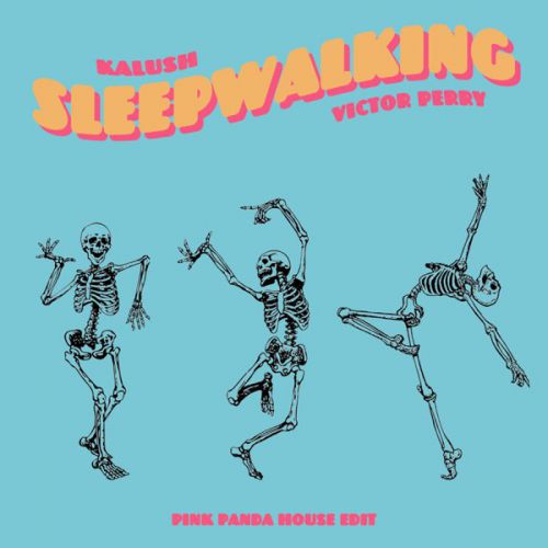 Скачать песню Kalush & Victor Perry - Sleepwalking (Pink Panda House Edit)