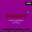 Скачать песню Chico & Qatoshi - Ластівки (DJ Darling & Butesha Remix)