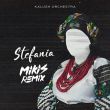 Скачать песню Kalush Orchestra - Stefania (Mikis Remix)
