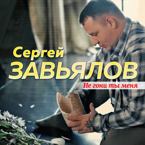 Скачать песню Сергей Завьялов - Не Гони Ты Меня