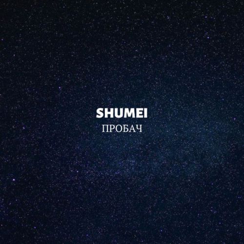 Скачать песню Shumei - Пробач