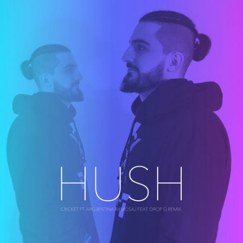 Скачать песню Cricket & Argjentina Ramosaj - Hush (Drop-G Remix)