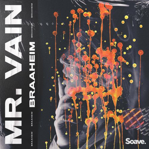 Скачать песню Braaheim - Mr. Vain