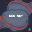 Скачать песню Rompasso - Ecstasy (feat. Rasster & Yasmin Jane)