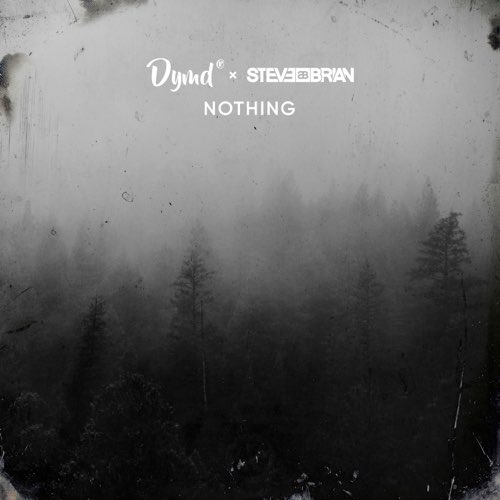 Скачать песню Dymd - Nothing (feat. Steve Brian)