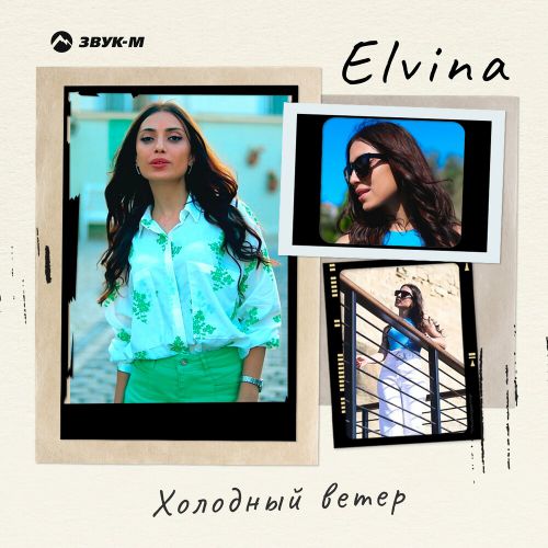 Скачать песню Elvina - Холодный Ветер