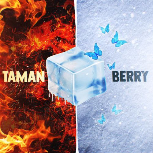 Скачать песню Taman - Мальвина (feat. Berry)