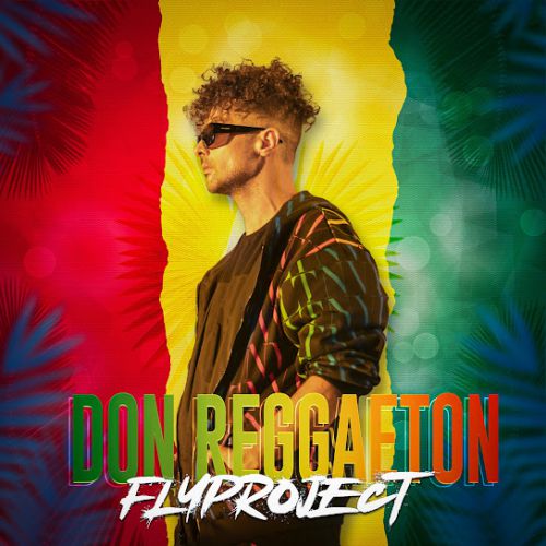 Скачать песню Fly Project - Don Reggaeton