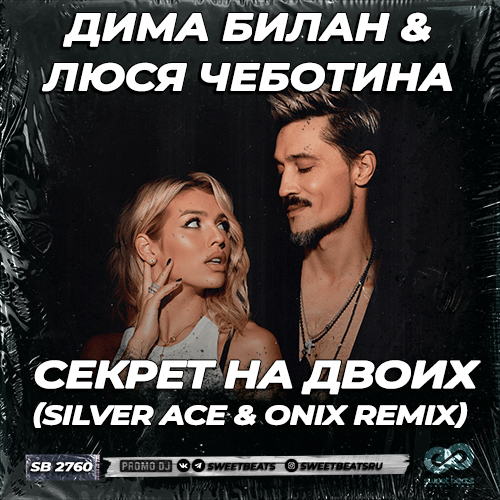 Скачать песню Дима Билан & Люся Чеботина - Секрет На Двоих (Silver Ace & Onix Remix)