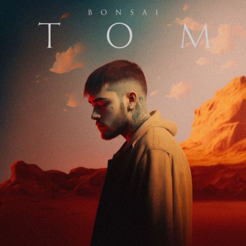 Скачать песню Bonsai - Том