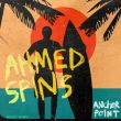 Скачать песню Ahmed Spins - Waves & Wavs (feat. Lizwi)