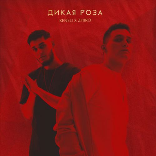 Скачать песню Keneli - Дикая Роза (feat. Zhiro)