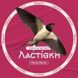 Скачать песню Chico & Qatoshi - Ластівки (Fizruk Remix)