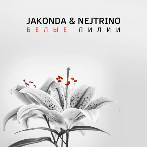 Скачать песню Jakonda - Белые Лилии (feat. Nejtrino)