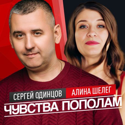 Скачать песню Сергей Одинцов - Чувства Пополам (feat. Алина Шелег)