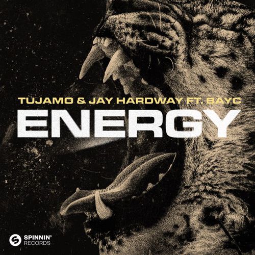 Скачать песню Tujamo - Energy (feat. Jay Hardway & Bay-С)
