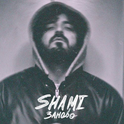 Скачать песню Shami - Заново