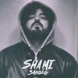 Скачать песню Shami - Заново