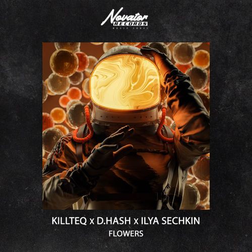 Скачать песню Killteq - Flowers (feat. D.Hash & Ilya Sechkin)