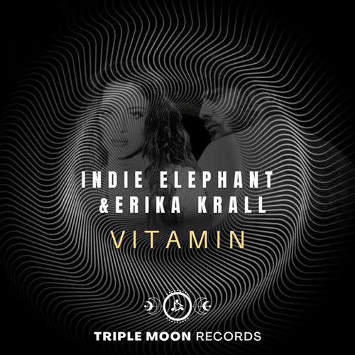 Скачать песню Erika Krall & Indie Elephant - Vitamin (Extended Mix)