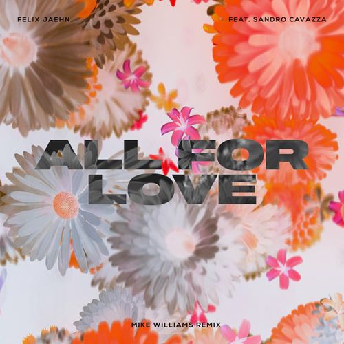Скачать песню Felix Jaehn & Sandro Cavazza - All For Love (Mike Williams Remix)