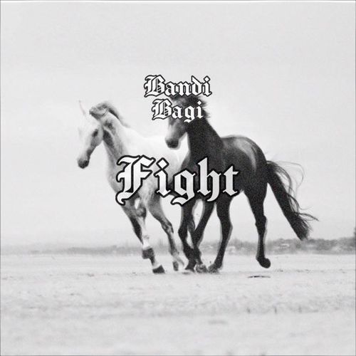 Скачать песню Bandi - Fight (feat. Bagi)