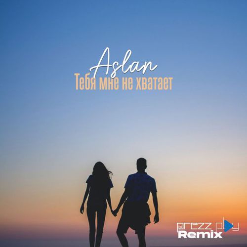 Скачать песню Aslan - Тебя Мне Не Хватает (DJ Prezzplay Remix)
