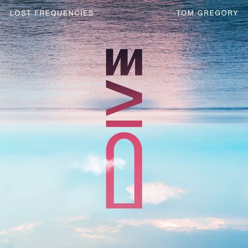 Скачать песню Lost Frequencies - Dive (feat. Tom Gregory)