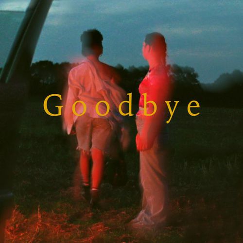 Скачать песню Avaion - Goodbye (feat. Sam Welch)