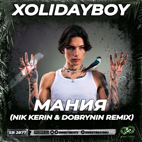 Скачать песню Xolidayboy - Мания (Nik Kerin & Dobrynin Remix)