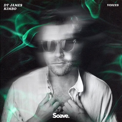 Скачать песню DT James - Voices (feat. Kimbo)