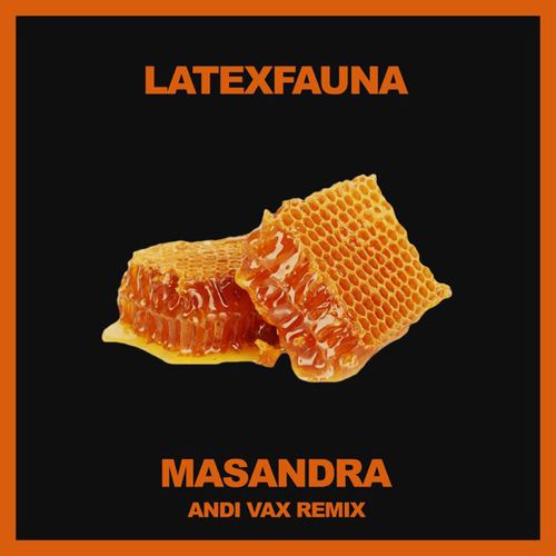 Скачать песню Latexfauna - Masandra (Andi Vax Remix)