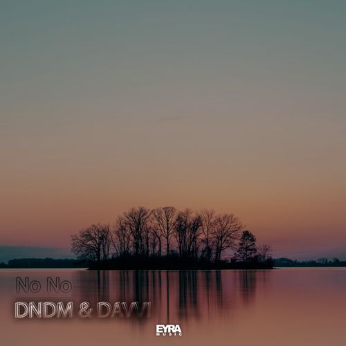 Скачать песню DNDM - No No (feat. Davvi)