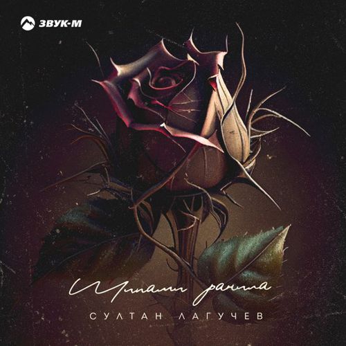 Скачать песню Султан Лагучев - Шипами Ранила