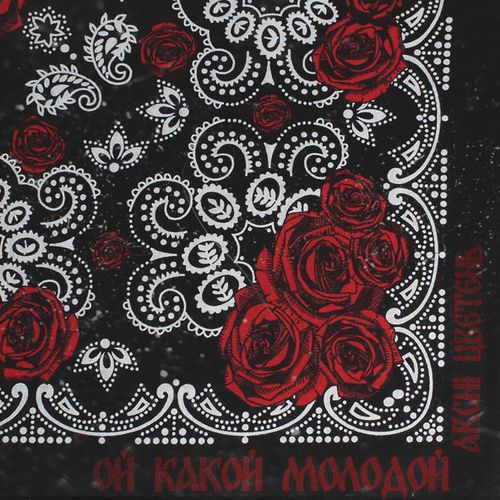 Скачать песню Archi - Ой Какой Молодой (feat. Цветень)