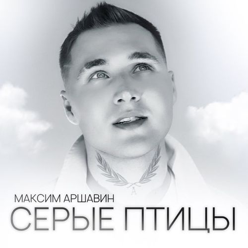 Скачать песню Максим Аршавин - Серые Птицы
